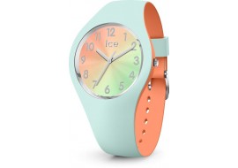 IceWatch 016981