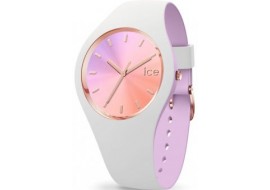 ICE 016978