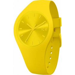 Ice Watch 017909