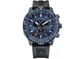 Citizen Promaster Sky...