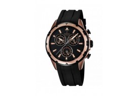 Festin F16840/TdP